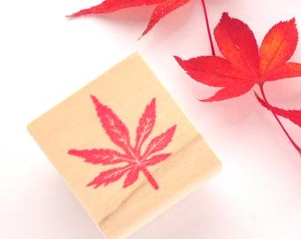 340x270 Japanese Maple Tree Etsy