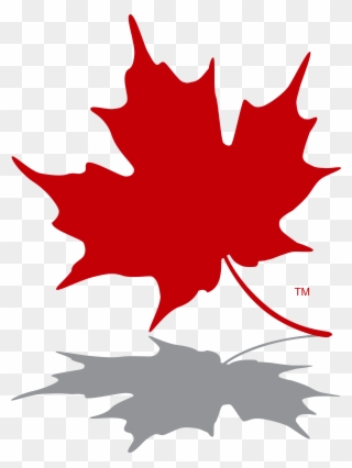 320x426 Maple Leaf Vector File, Vector Clip Art