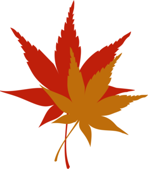 298x340 Autumn Leaf Color Tree Drawing Red Maple Cc0