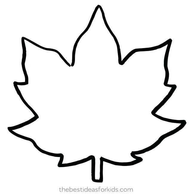 650x650 Leaf Outline Icon With Palm And Banana Leaf Outline Drawing