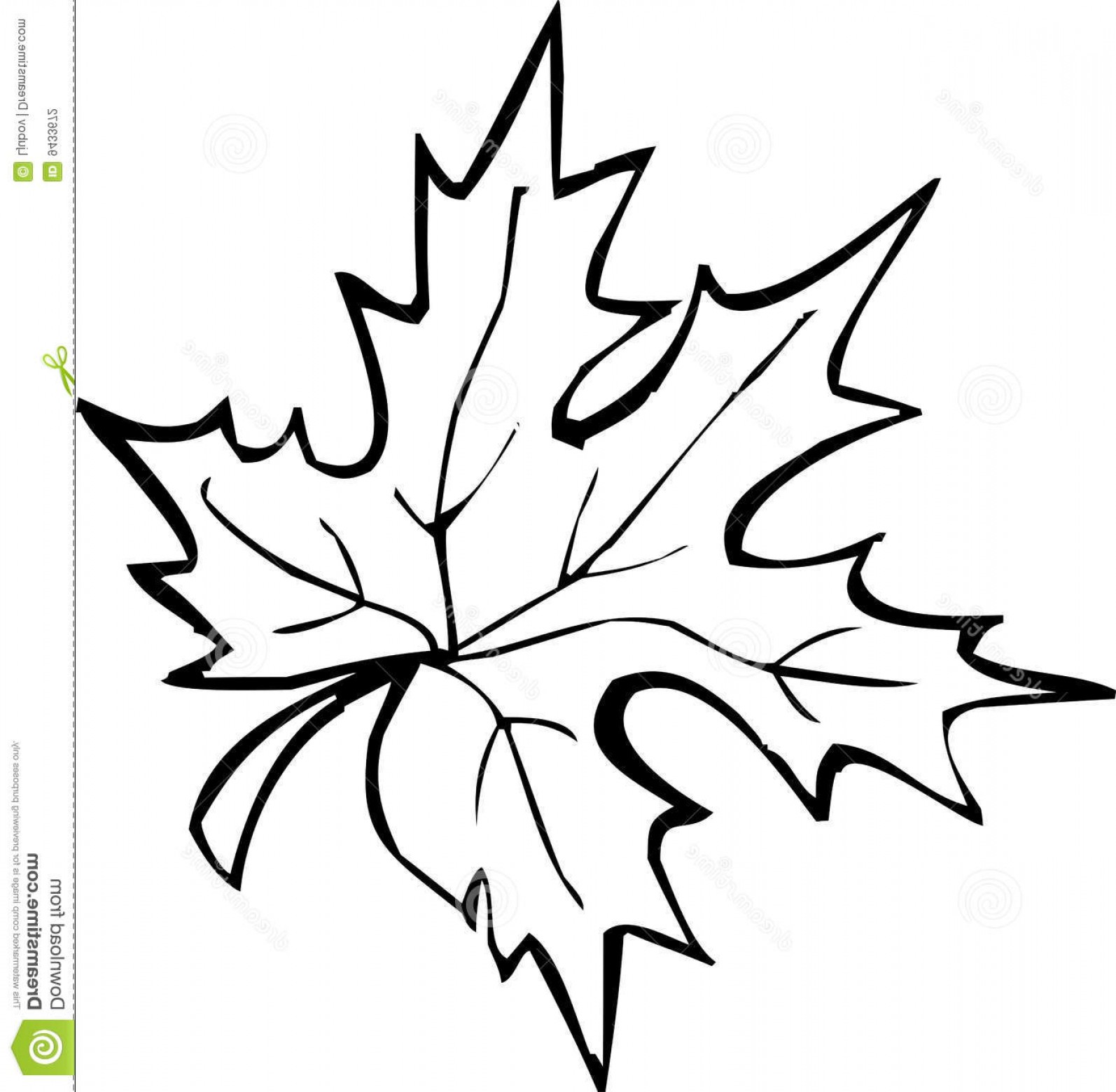 1594x1560 Maple Leaf Clipart Leaf Drawing