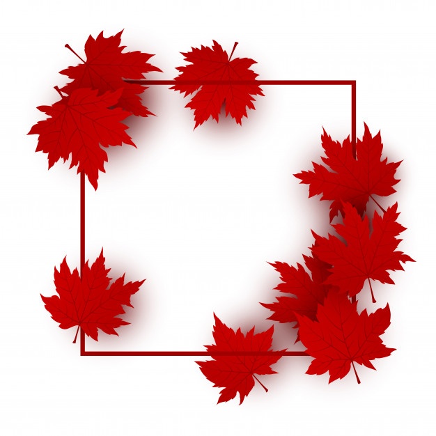 626x626 Maple Leaf Vectors, Photos And Free Download