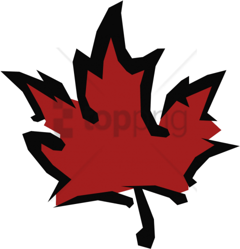 480x498 red maple leafs png image with transparent background toppng