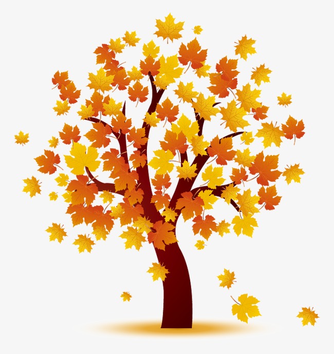 650x690 Clipart Fall Maple Tree Fun Pics Images