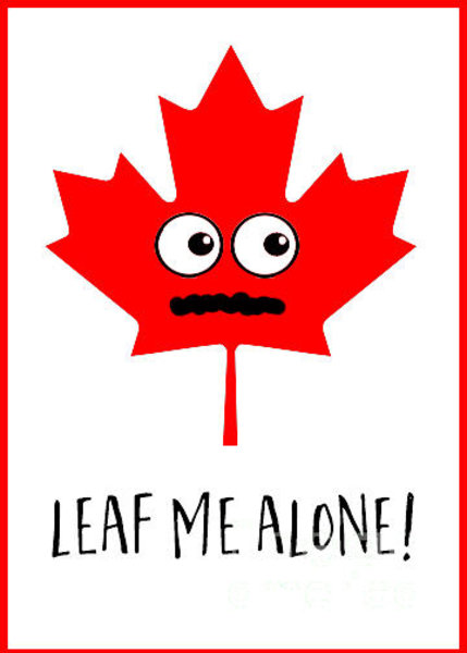 429x600 Maple Leaf Drawings Fine Art America