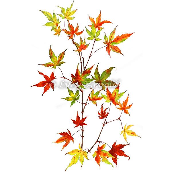 600x600 Polyvore Palooza Parade