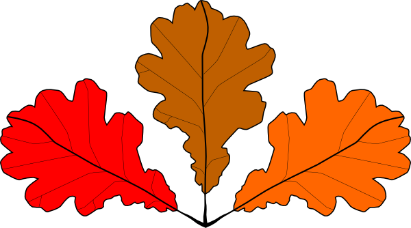 600x334 Red Maple Clipart