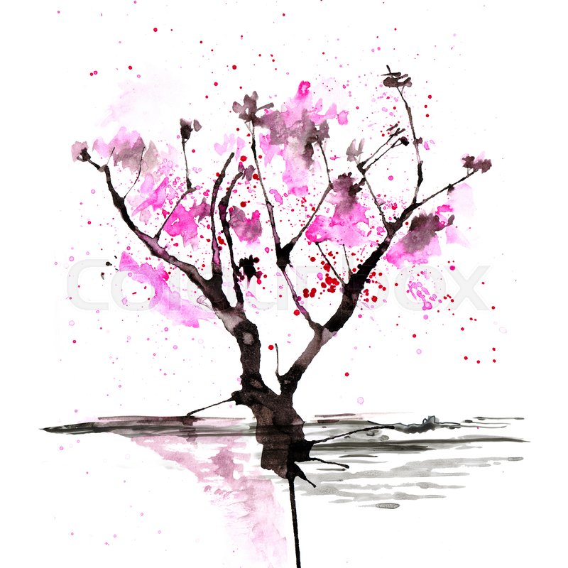 800x800 Sakura Tree In Japanese Painting Style Stock Image Colourbox