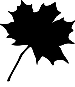 260x300 Tree, Leaf, Autumn, Transparent Png Image Clipart Free Download