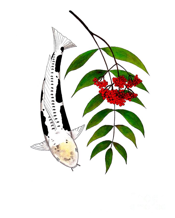 725x900 Japanese Koi Kawarimono Mountain Ash Painting