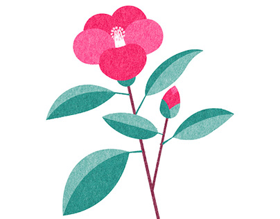 404x316 Ryo Takemasa On Behance