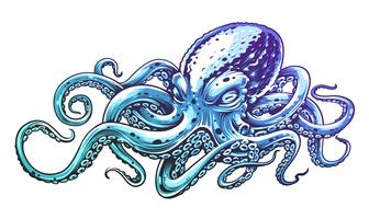 336x200 Octopus
