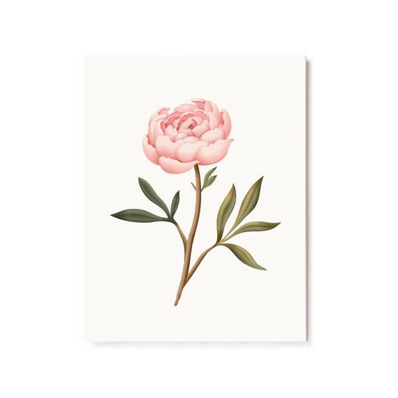570x570 Botanical Scented Card Peony Etsy