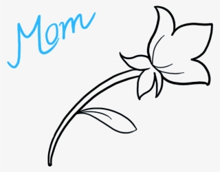 320x250 Flower Drawing Png Images Png Cliparts Free Download On Seekpng