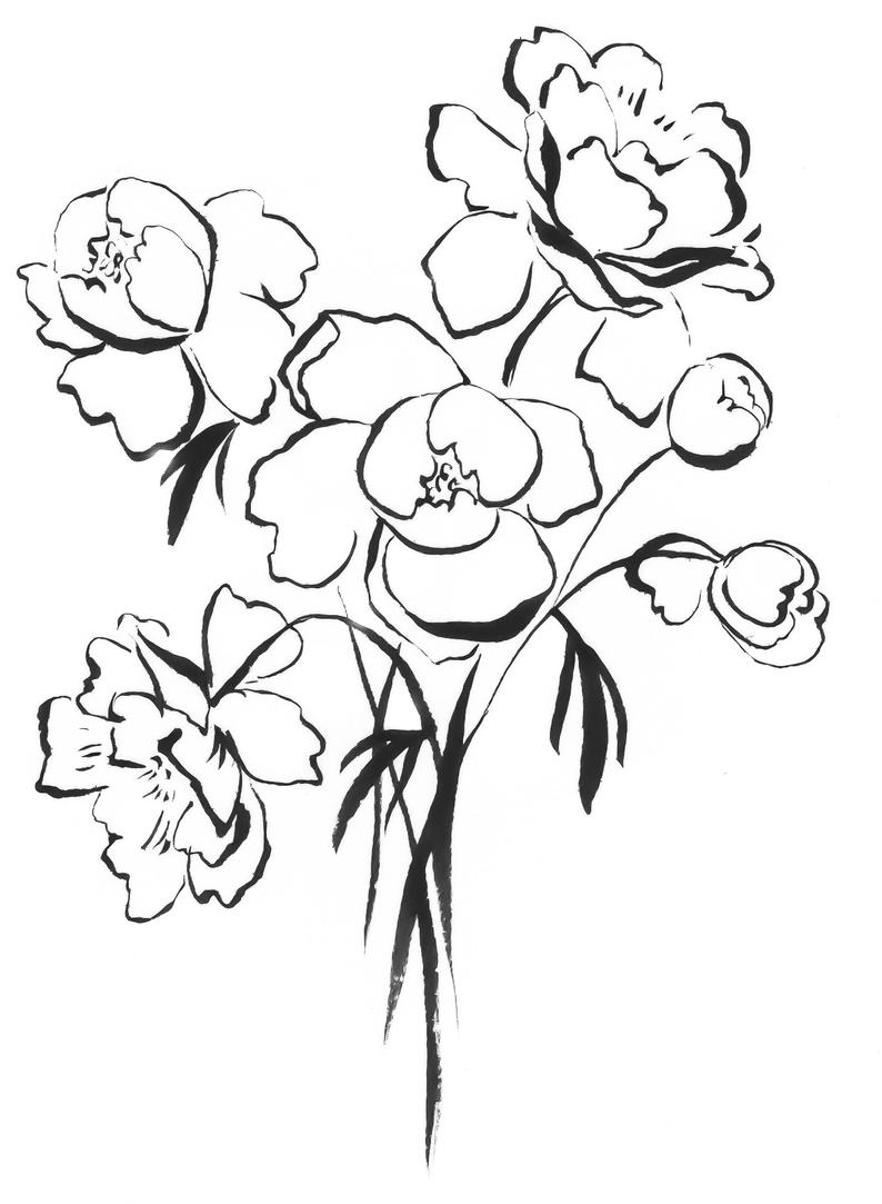 794x1083 Peony Lines Print In Black Ink Inches Art Print Etsy