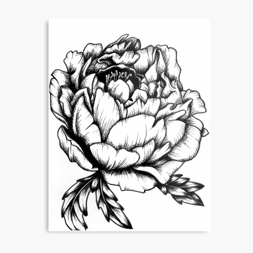 1000x1000 Peony Tattoo Design Metal Print
