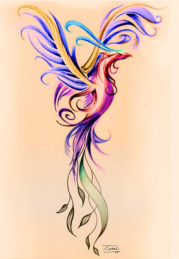 622x900 Related Image Tat Tattoos, Tattoo Designs, Phoenix Tattoo Design