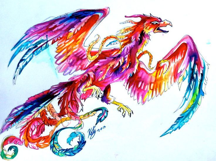 736x549 Tattoo Japanese Phoenix Drawing