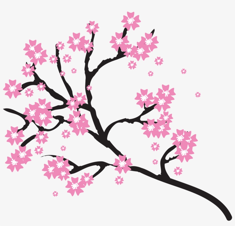 820x788 Cherry Blossoms Png