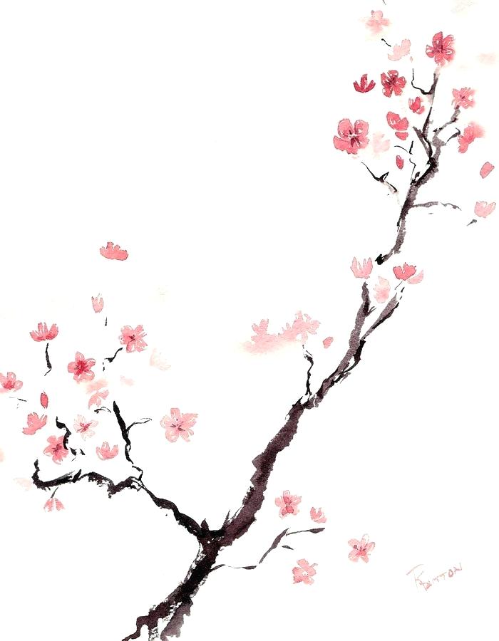 700x900 draw cherry blossom how to draw cherry blossoms cherry blossoms