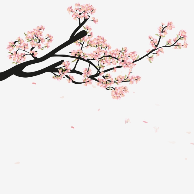 640x640 Watercolor Sakura Frame Background With Blossom Cherry Tree