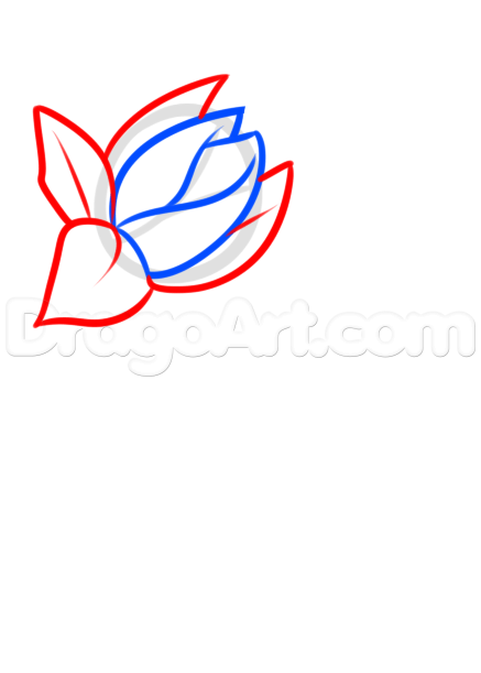 437x611 Japanese Tattoo Drawing Lesson, Step