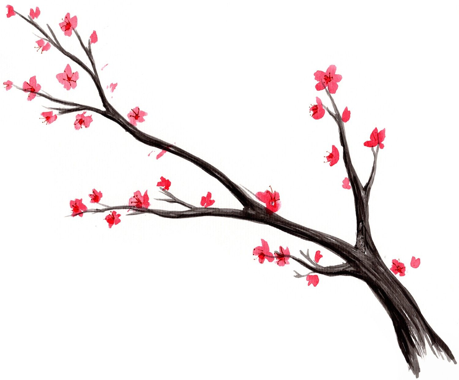 1500x1241 add birds later japanese cherry blossom tree watercolor print