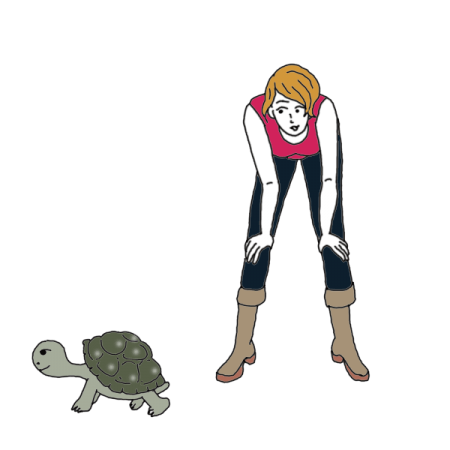 450x450 dreaming of turtles meaning and interpretation