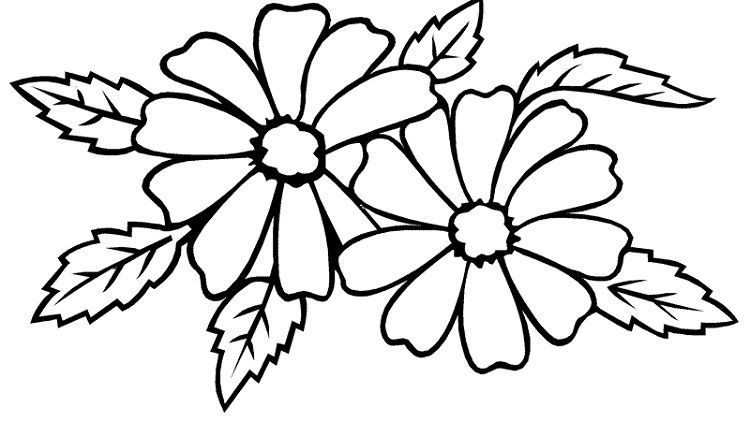 750x422 Funky Jasmine Flower Coloring Pages Model