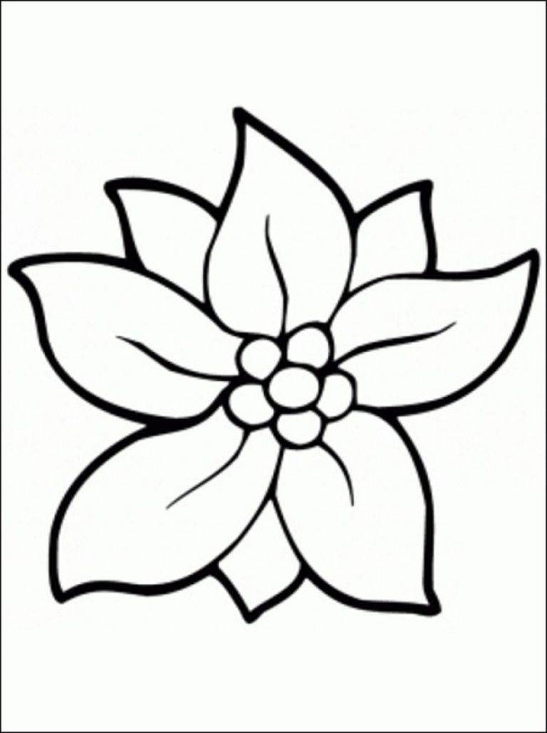 768x1028 How To Draw Jasmine Flower Coloring Pages Of Your Favorite