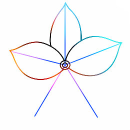 260x260 How To Draw A Jasmine Flower Easy