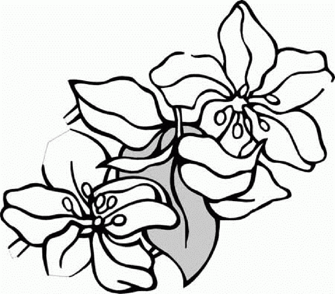1139x1000 jasmine flower coloring pages coloring home, jasmine flower