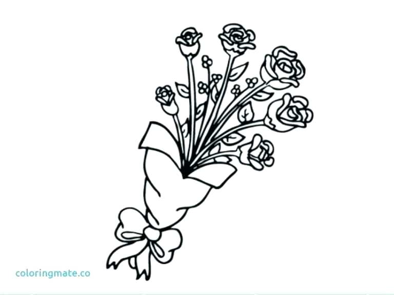 768x576 Marigold Flower Coloring Pages Jasmine New Rose Kids Wonderful