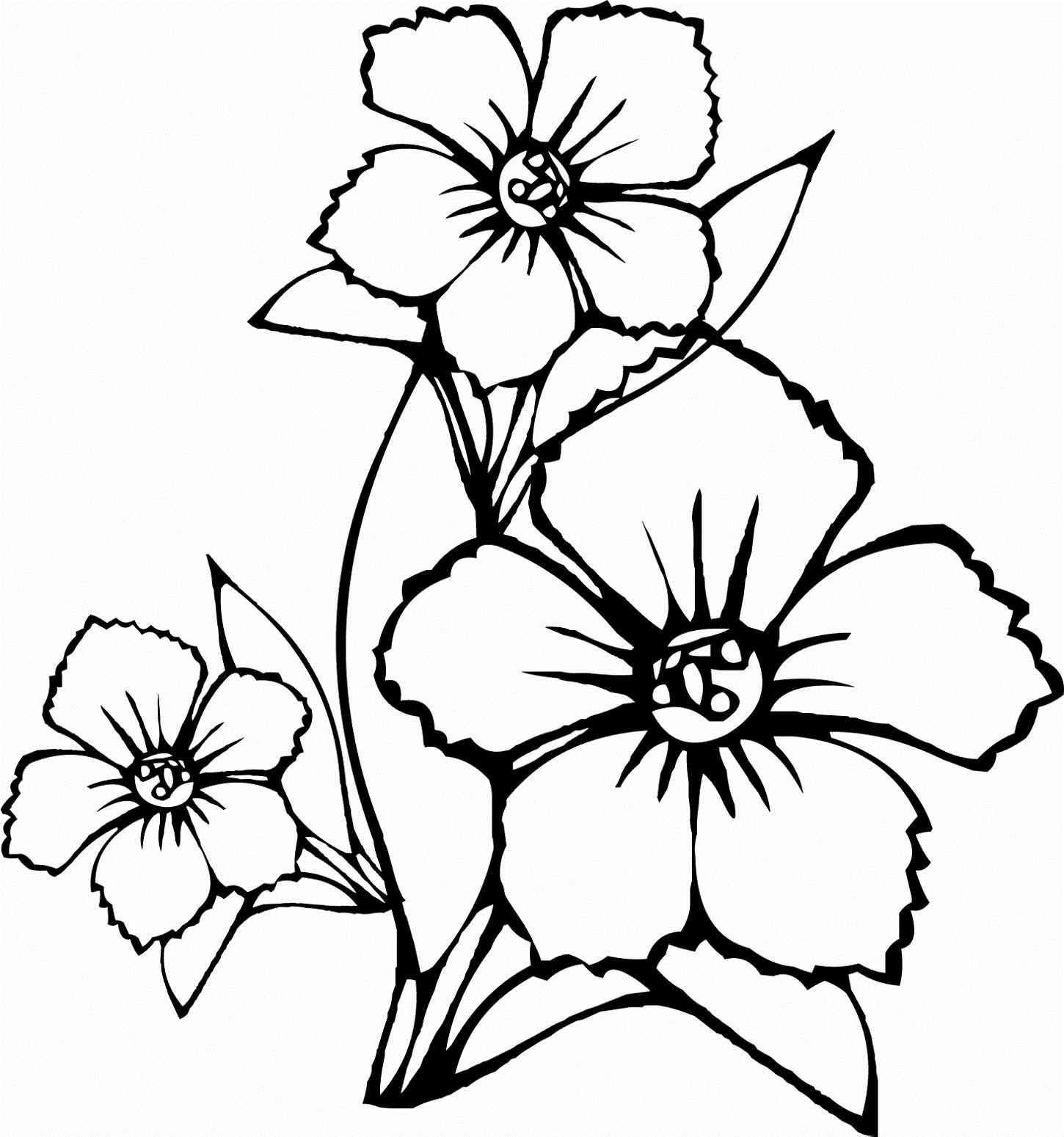 1450x1550 A Picture Of Jasmine Flowers Coloring Pages X Kb