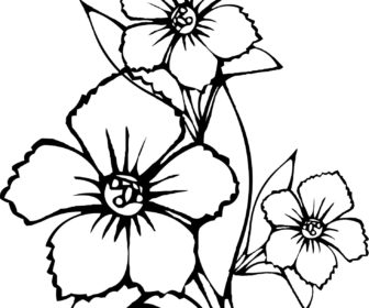 336x280 climbing jasmine flower tag jasmine flower coloring