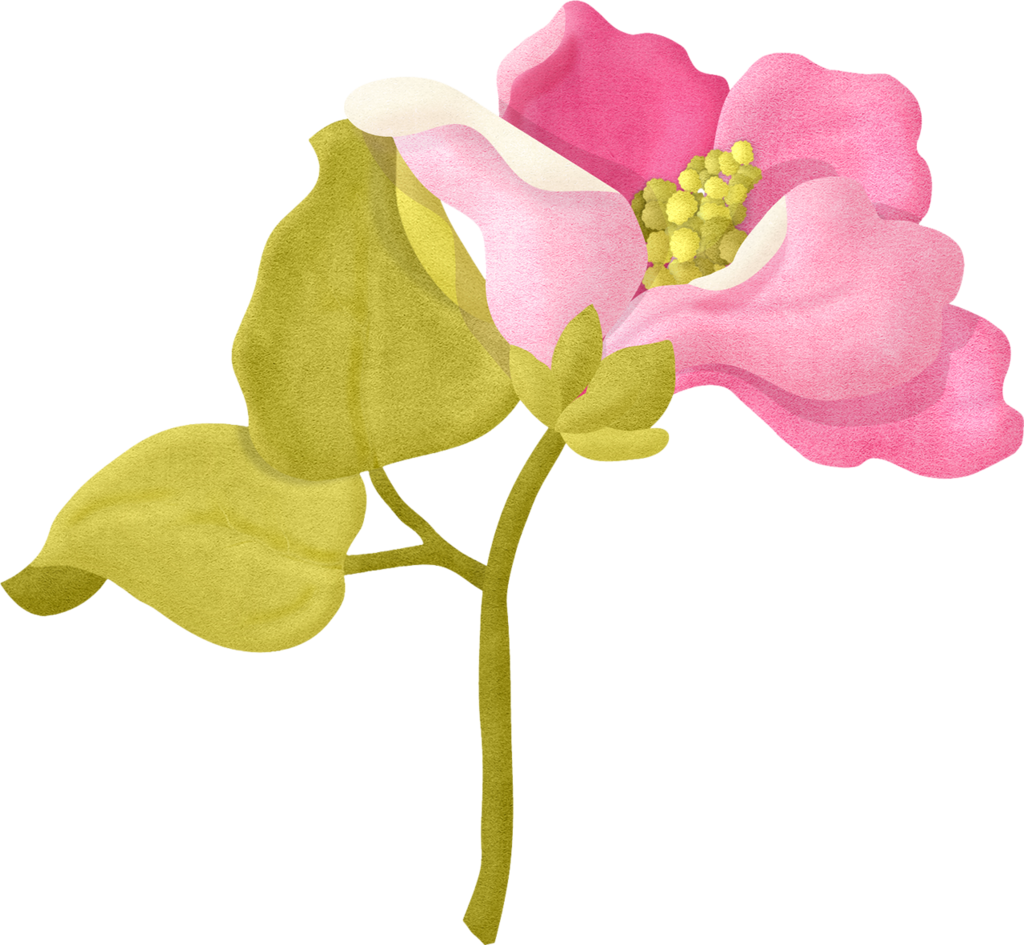 1024x945 Bougainvillea Drawing Flower Transparent Png Clipart Free