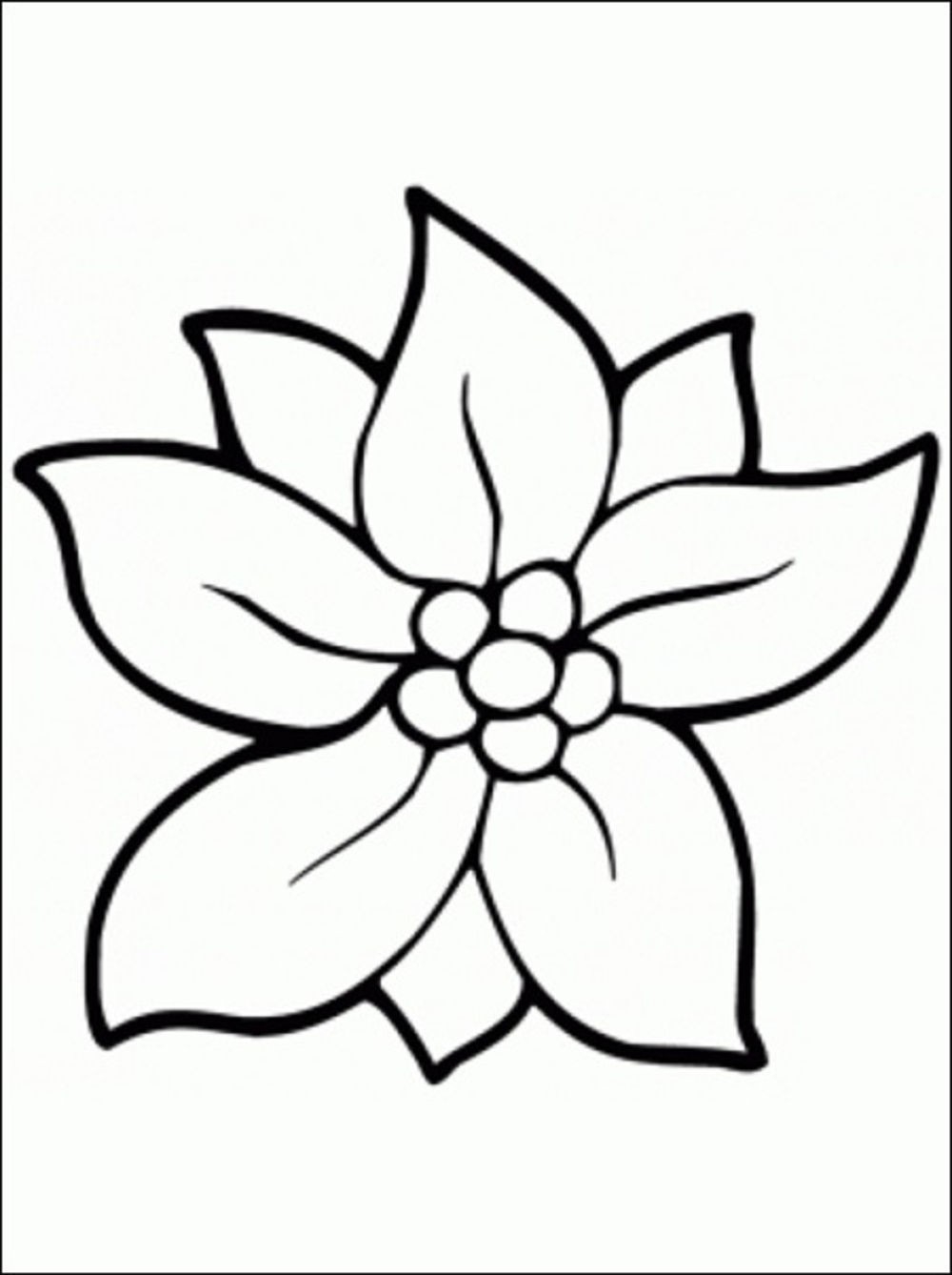 1000x1338 Coloring Pages Of Jasmine Flower Coloring Pages
