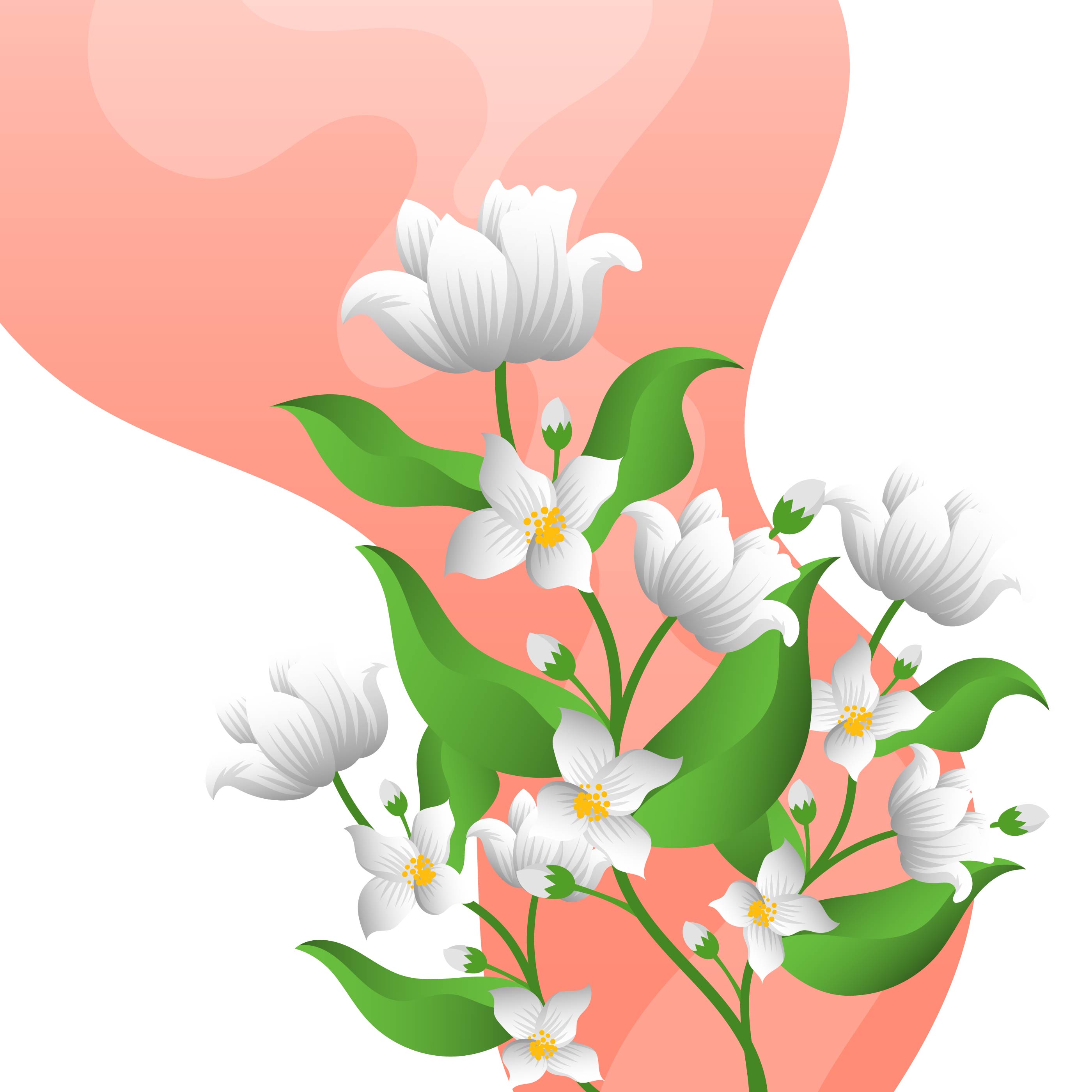 2800x2800 Flat Jasmine Flower With Gradient Background Template Vector