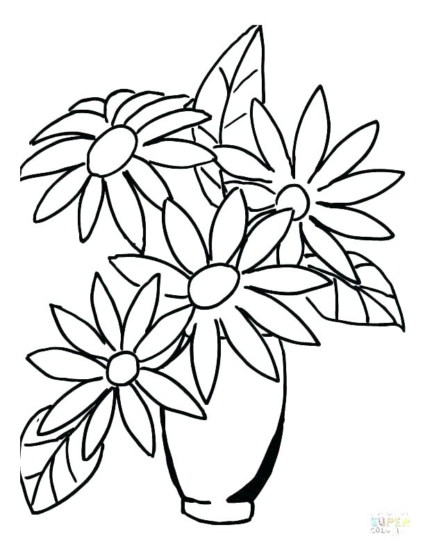 612x792 Jasmine Flower Coloring Pages Flower Drawing Coloring