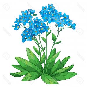 300x300 Png Southern Magnolia Botanical Illustration Painting Lazttweet