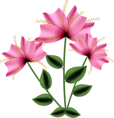 486x500 Botanical Vector Flower Line Drawing Transparent Png Clipart