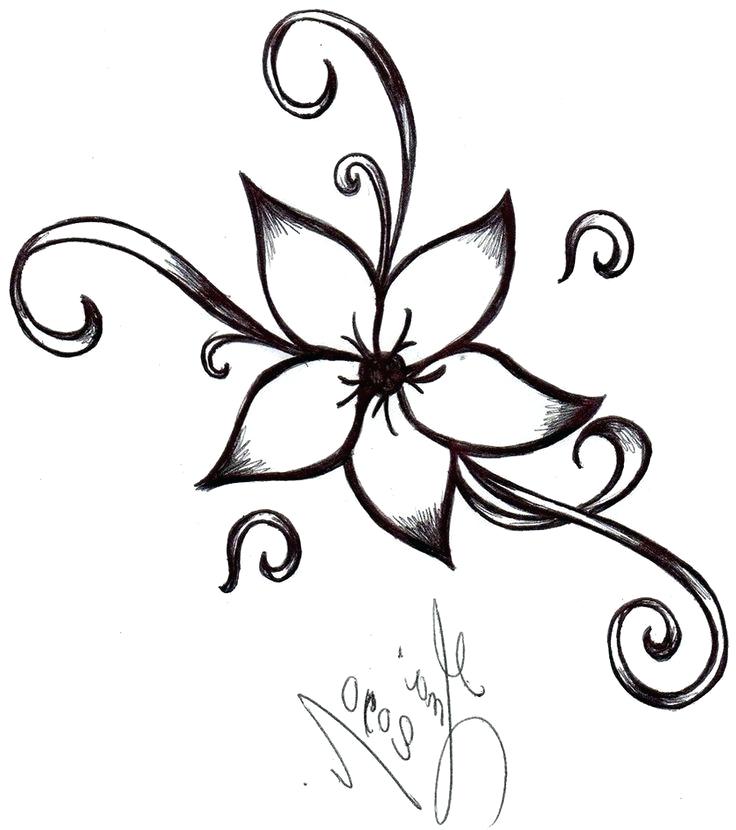 Jasmine Flower Drawing | Free download on ClipArtMag