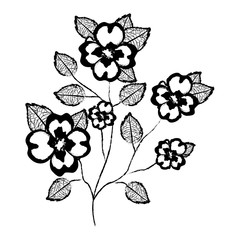 240x240 Jasmine Stock Photos And Royalty Free Images, Vectors