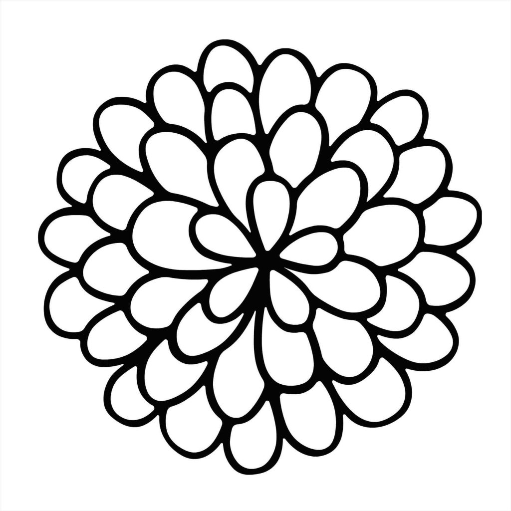1024x1024 How To Draw A Flower Easy New Simple Drawing A Flower Simple Lotus