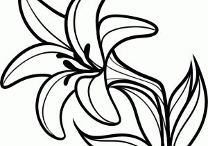 300x210 Jasmine Flower Pencil Drawing Free Designs Girly Lily Tattoo