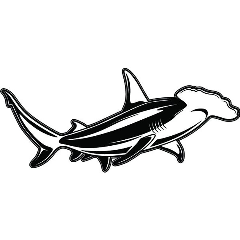 794x794 hammerhead shark jaws ocean man eating predator animal etsy