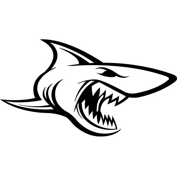 570x565 Shark Drawing Logo For Free Download