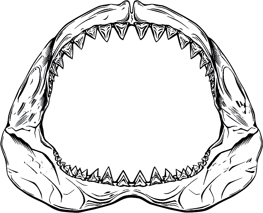 920x745 Jaws Transparent Shark
