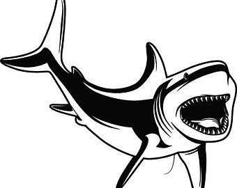340x270 Jaws Drawing Etsy