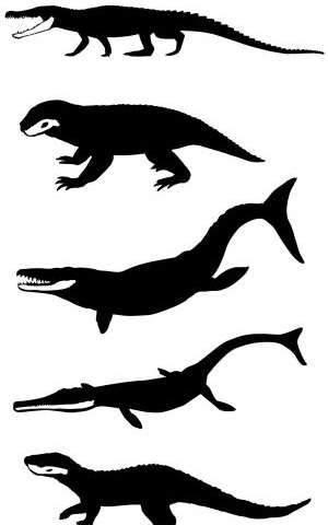 300x480 Jurassic Jaws How Ancient Crocodiles Flourished During The Age